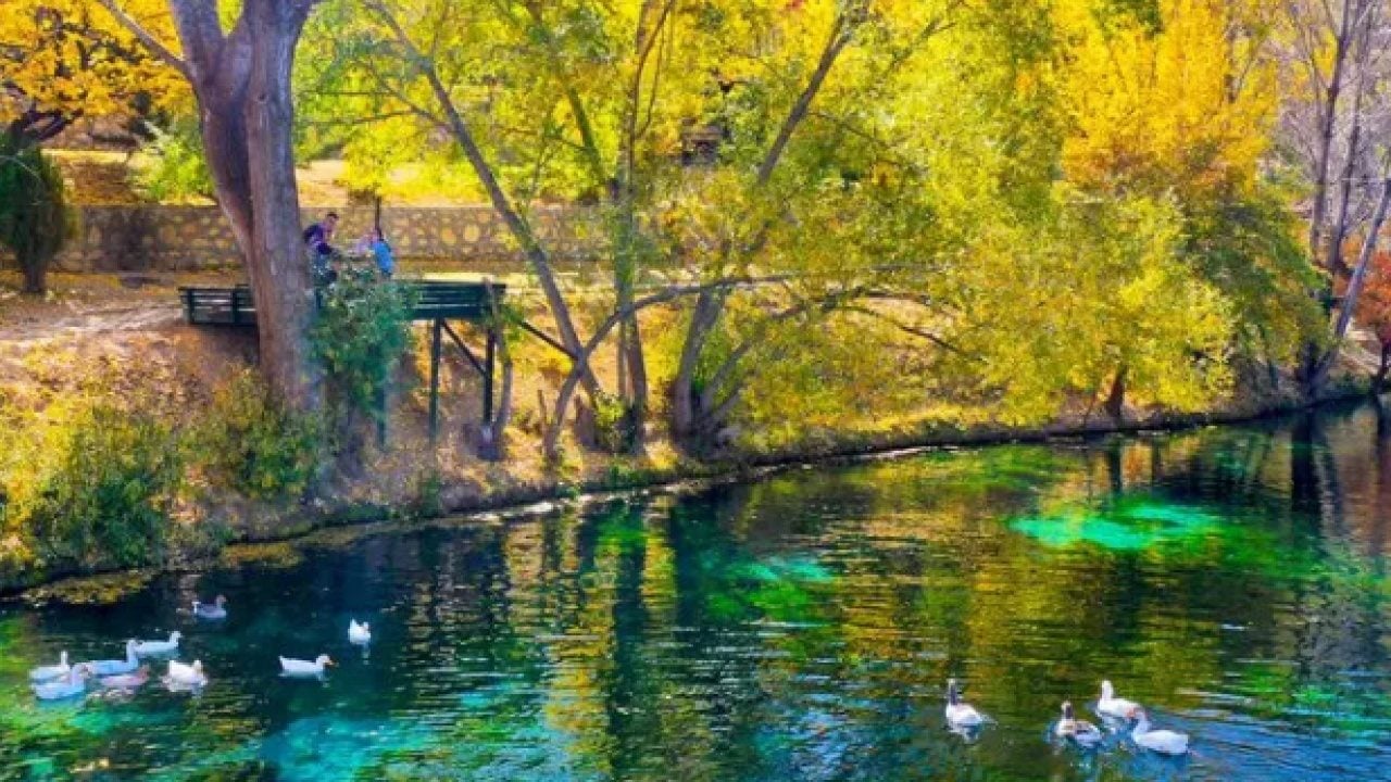 Foto - Görenleri adeta mest ediyor! Sonbaharda boncuk gibi parlıyor!