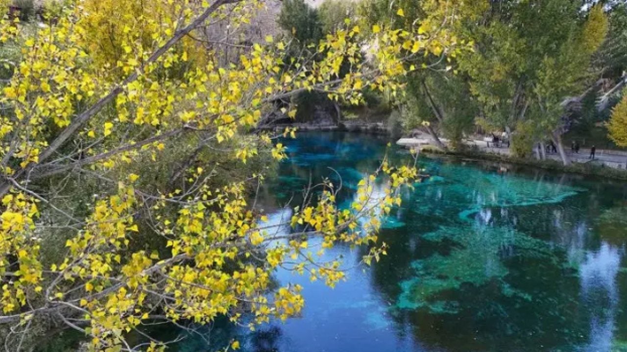 Foto - Görenleri adeta mest ediyor! Sonbaharda boncuk gibi parlıyor!