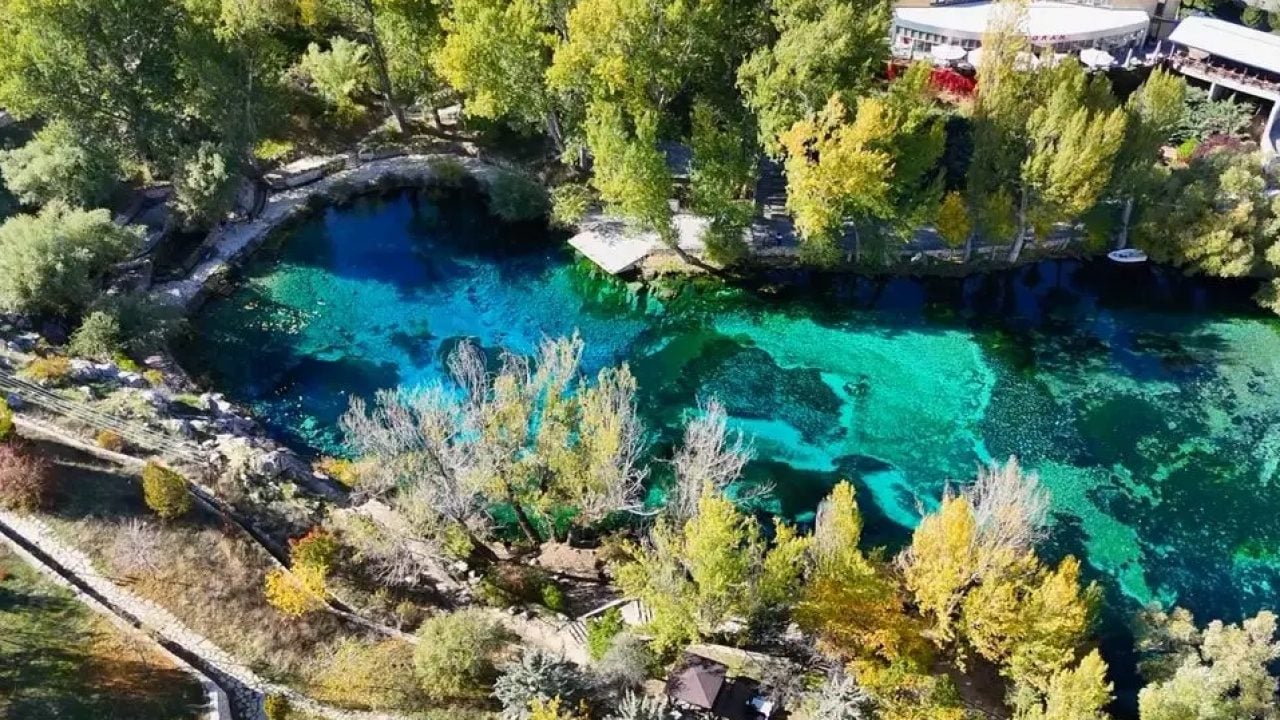 Görenleri adeta mest ediyor! Sonbaharda boncuk gibi parlıyor!
