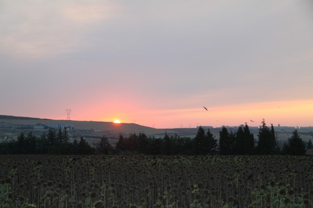 Foto - Görenleri hayran bırakan günbatımı manzarası!
