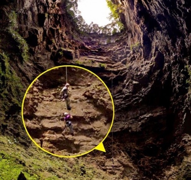 Foto - Görenleri hayrete düşürüyor!