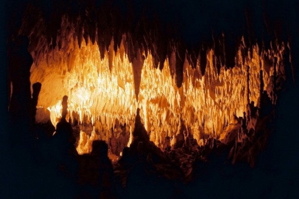 Foto - Görenleri hayrete düşürüyor!