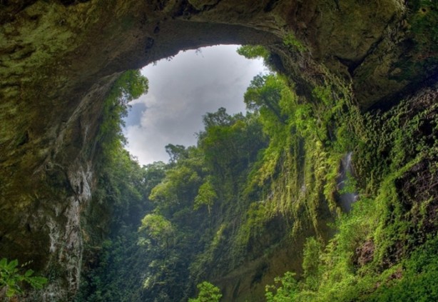 Foto - Görenleri hayrete düşürüyor!