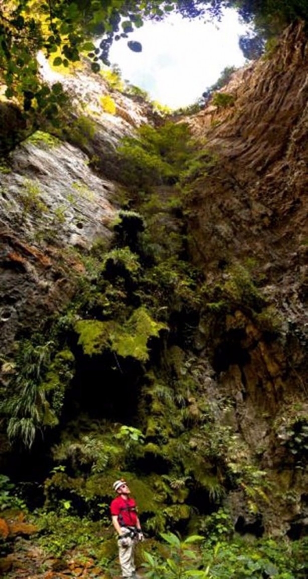 Foto - Görenleri hayrete düşürüyor!