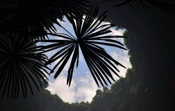 Foto - Görenleri hayrete düşürüyor!