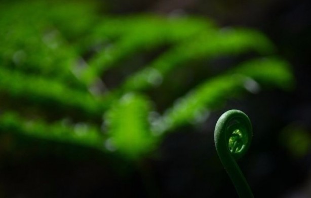 Foto - Görenleri hayrete düşürüyor!