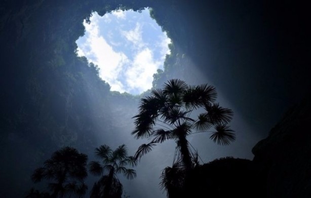 Foto - Görenleri hayrete düşürüyor!