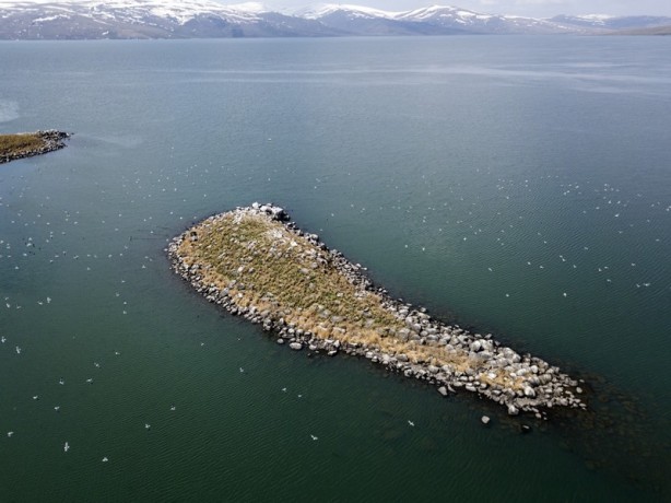 Foto - Görenleri kendine hayran bırakıyor: Çıldır Gölü