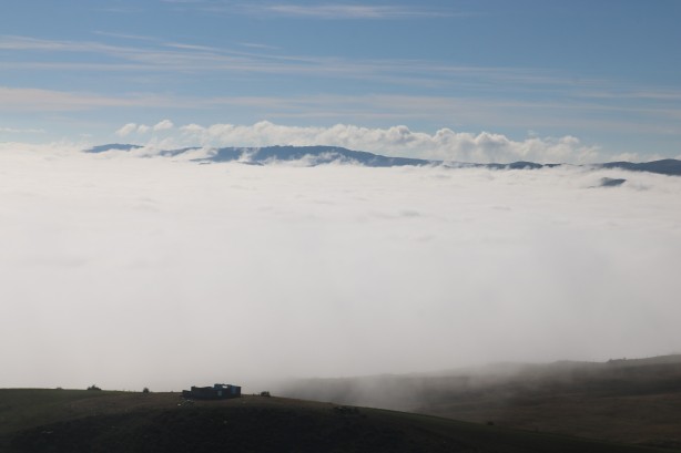 Görenleri mest eden görüntü! Sivas sis denizinde kayboldu