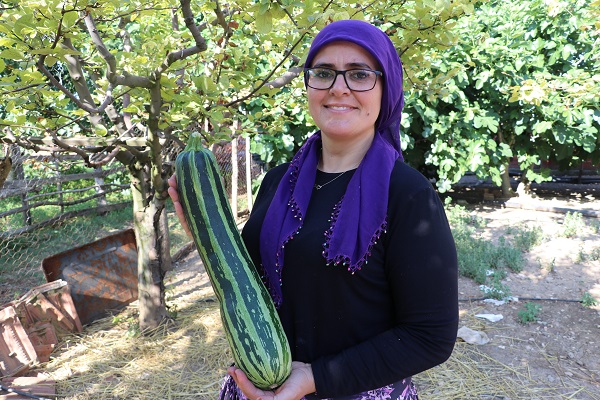 Foto - Görenleri şaşkına çeviren kabak