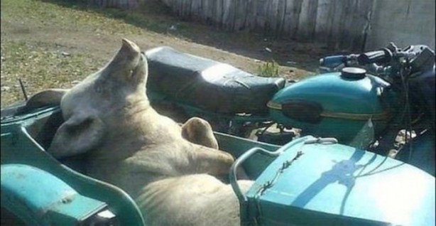 Foto - Görenleri şaşkına çeviren yol manzaraları