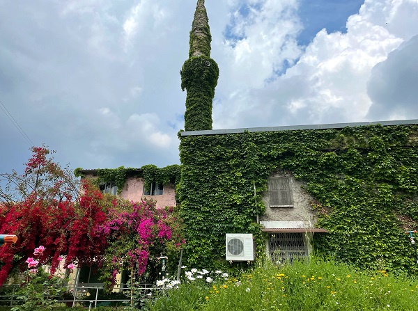 Foto - Görenlerin içi açılıyor! Bu caminin bir örneği daha yok