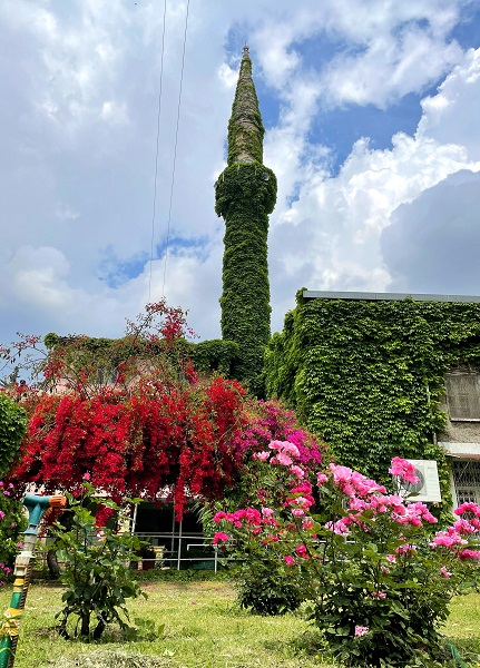 Foto - Görenlerin içi açılıyor! Bu caminin bir örneği daha yok