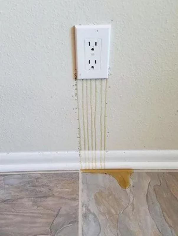 Foto - Görenlerin tüyleri diken diken oluyor! Vahşi doğada ürperten anlar