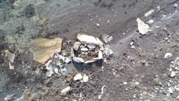 Foto - Tedirgin eden manzara! Görünce dua etmeye başladı