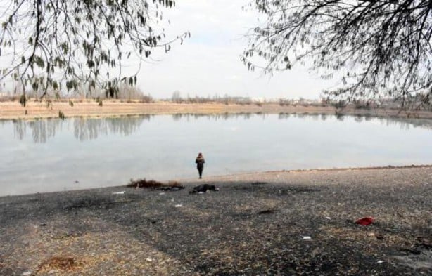 Foto - Tedirgin eden manzara! Görünce dua etmeye başladı