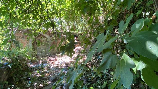 Foto - Görünmez hale geldi! Osmanlı mirasının içler acısı hali