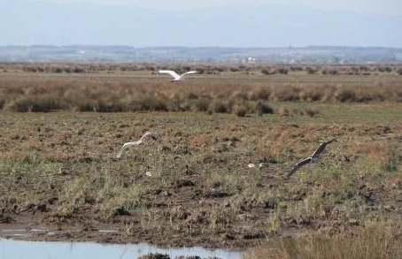 Foto - Görüntülemek için sıraya girdiler! Türkiye’de 4’üncü kez görüldü