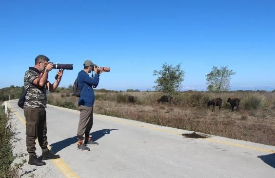 Foto - Görüntülemek için sıraya girdiler! Türkiye’de 4’üncü kez görüldü