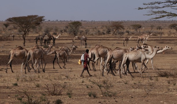 Foto - Görüntüler Etiyopya'dan servis edildi! Bu bidonun anlamı ne?