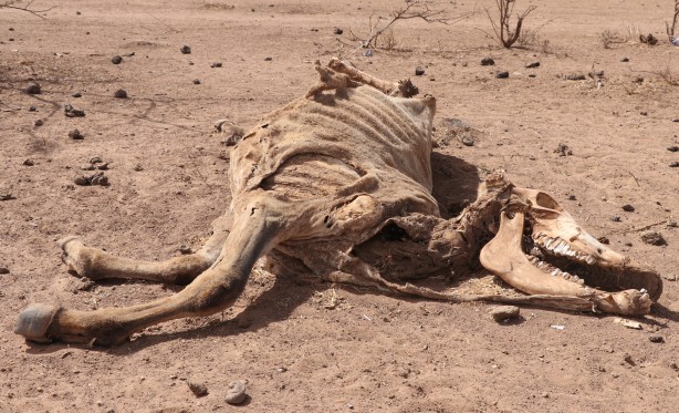 Foto - Görüntüler Etiyopya'dan servis edildi! Bu bidonun anlamı ne?