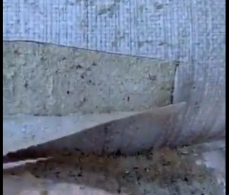 Foto - Görüntüler mide bulandırmıştı! Büyük skandal sonrası Oba Makarna'dan açıklama