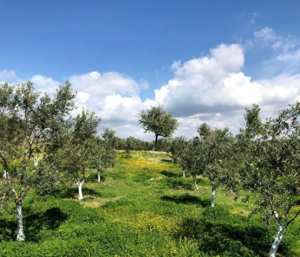 Foto - Görüntüler ortaya çıktı! İşte Fatih Portakal'ın yeni yaşamı