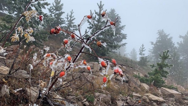 Foto - Görüntüler Türkiye'den! Termometreler eksi 10'u gördü