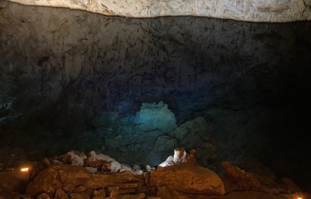 Foto - Görüntülere bakmak doyumsuz! Bir çoban kirpiyi takip ederken keşfetti