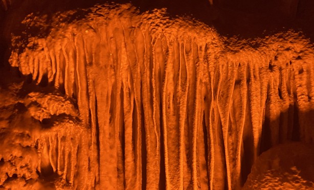 Foto - Görüntülere bakmak doyumsuz! Bir çoban kirpiyi takip ederken keşfetti