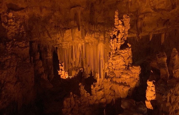 Foto - Görüntülere bakmak doyumsuz! Bir çoban kirpiyi takip ederken keşfetti
