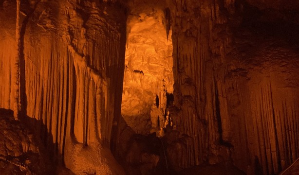 Foto - Görüntülere bakmak doyumsuz! Bir çoban kirpiyi takip ederken keşfetti