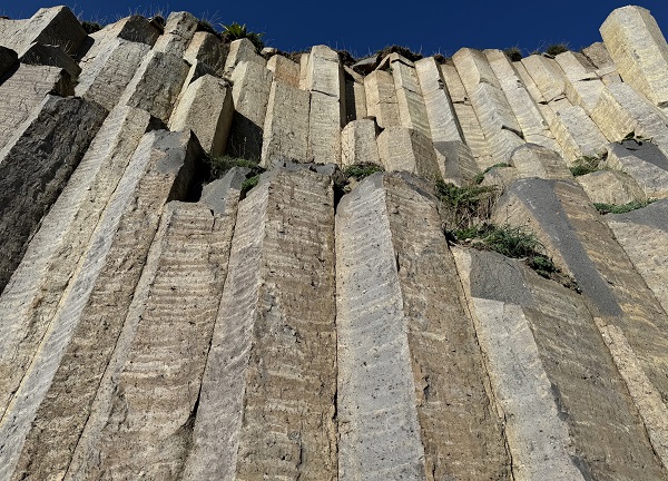 Foto - Görüntüsüyle dikkat çekiyor! 20 milyon yıl önceye ait