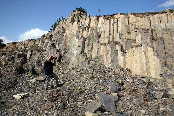 Foto - Görüntüsüyle dikkat çekiyor! 20 milyon yıl önceye ait