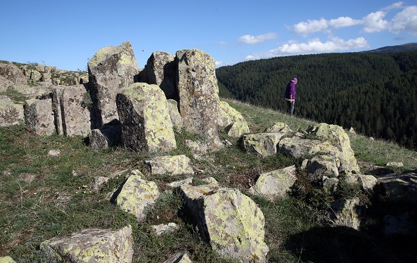 Foto - Görüntüsüyle dikkat çekiyor! 20 milyon yıl önceye ait