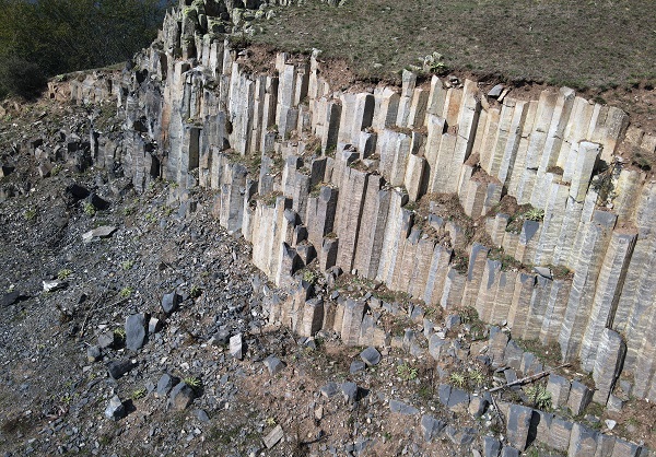 Foto - Görüntüsüyle dikkat çekiyor! 20 milyon yıl önceye ait