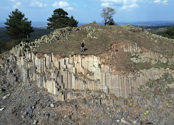 Foto - Görüntüsüyle dikkat çekiyor! 20 milyon yıl önceye ait