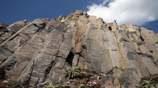 Görüntüsüyle dikkat çekiyor! 20 milyon yıl önceye ait