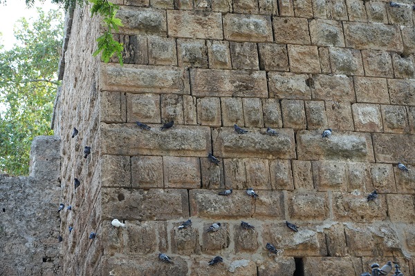 Foto - Görüntüsüyle hayran bırakan kapı: Hadrian 