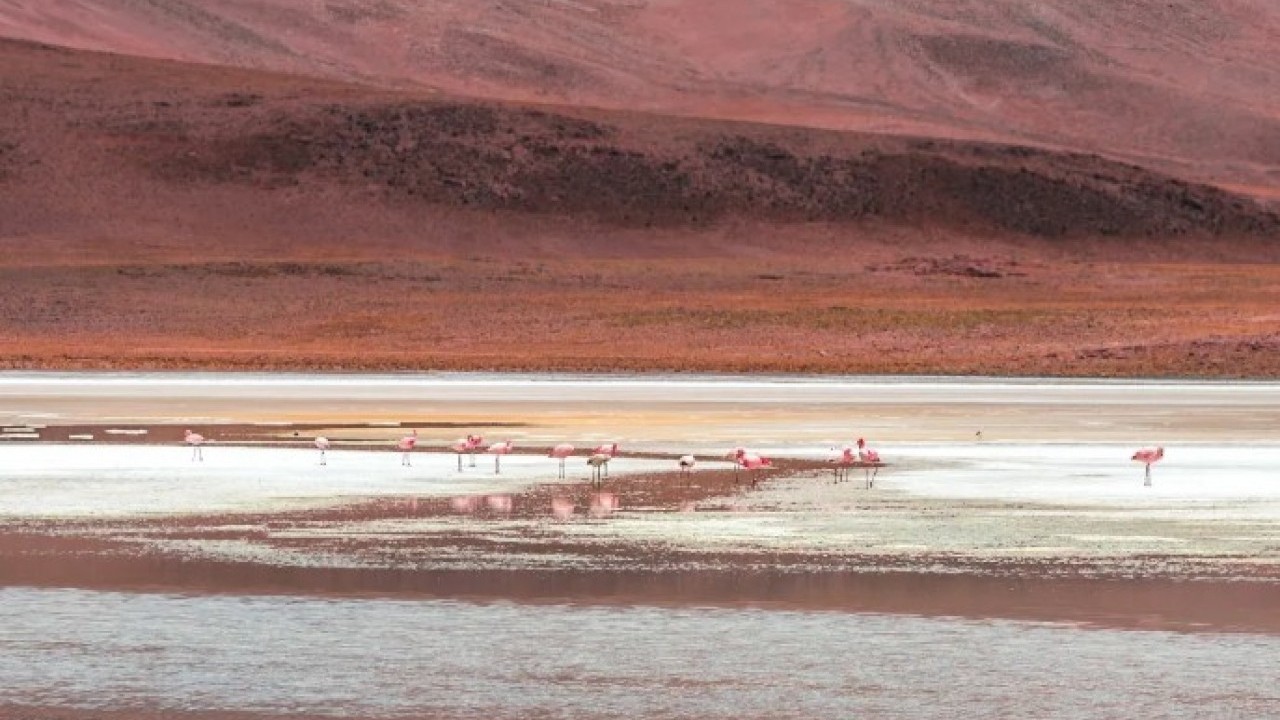 Görünümleri ve özellikleri ile büyülüyor! İşte dünyanın en ilginç gölleri!