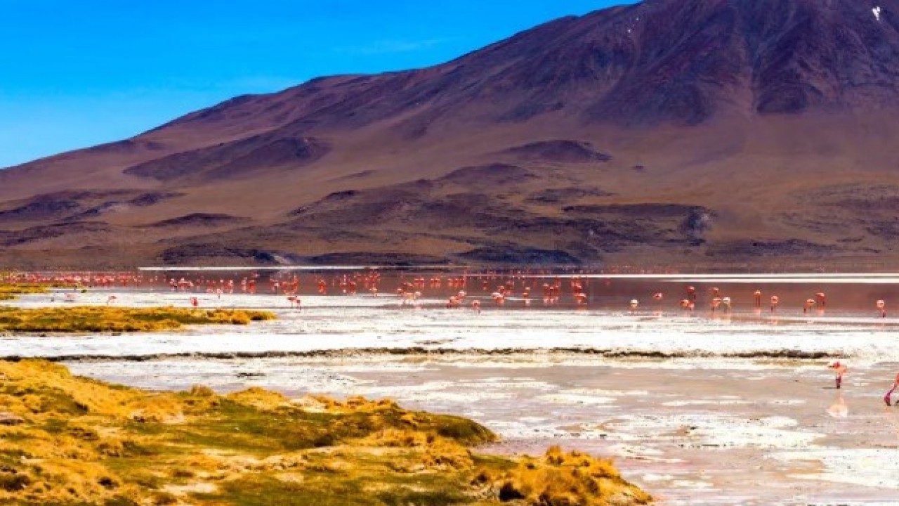 Foto - Görünümleri ve özellikleri ile büyülüyor! İşte dünyanın en ilginç gölleri!