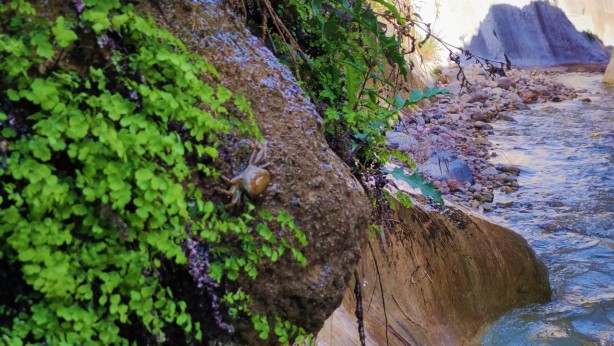 Foto - Görür görmez oraya koştular! Uydu görüntülerine bakarken tesadüf keşif