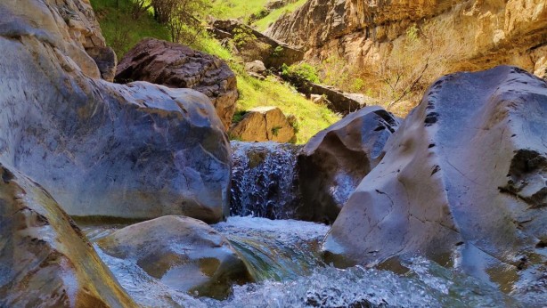 Foto - Görür görmez oraya koştular! Uydu görüntülerine bakarken tesadüf keşif