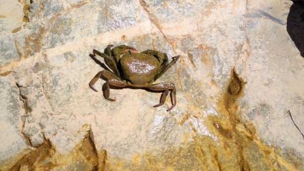 Foto - Görür görmez oraya koştular! Uydu görüntülerine bakarken tesadüf keşif