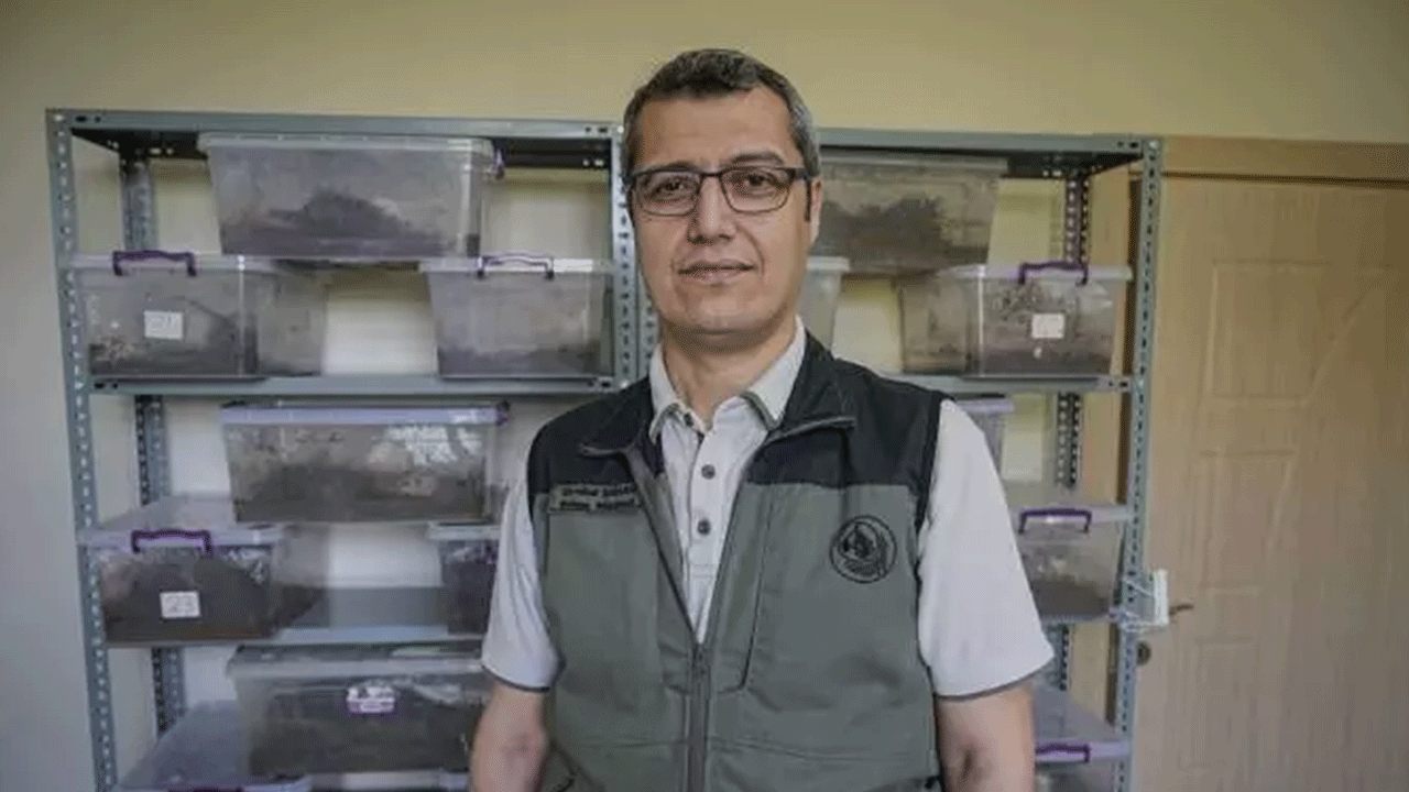 Foto - Görürseniz sakın öldürmeyin! Ormanda karşınıza çıkabilir!