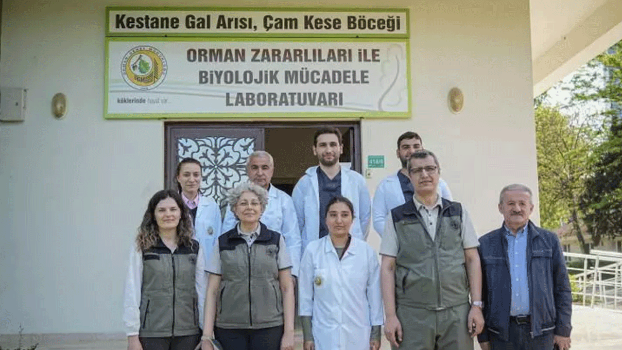 Foto - Görürseniz sakın öldürmeyin! Ormanda karşınıza çıkabilir!