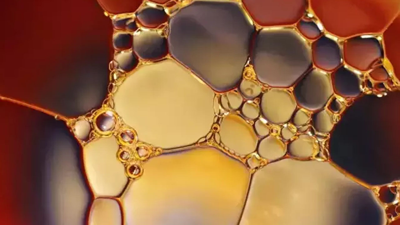 Foto - Kazayaklarını silip süpürüyor!