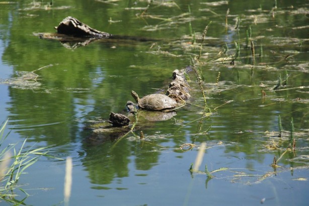Foto - Göz kamaştıran "Melekler Gölü" keşfedilmeyi bekliyor