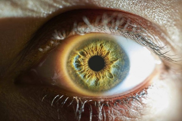 Göz sağlığına iyi gelen besinler