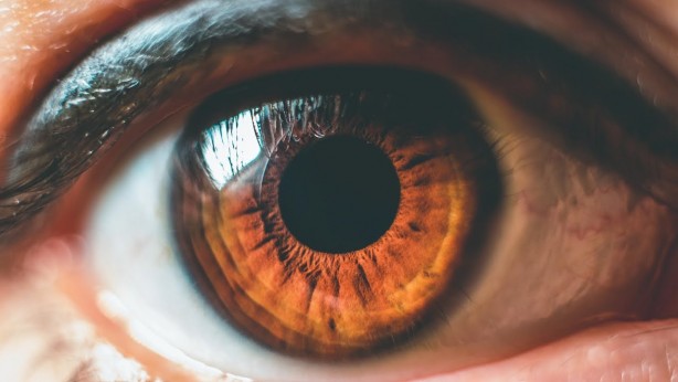 Foto - Göz sağlığına iyi gelen besinler